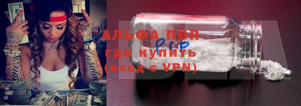 стаф Зерноград