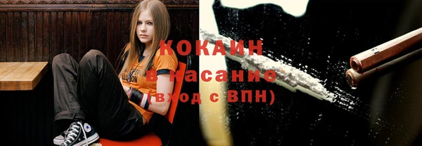 а пвп мука Инсар