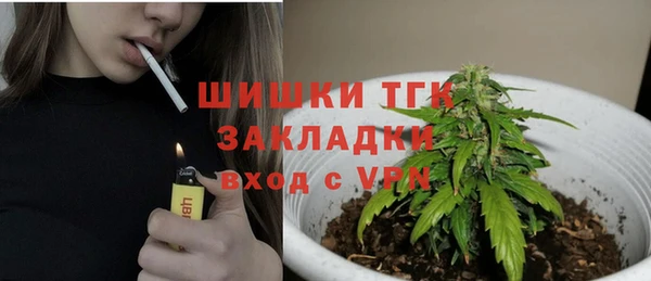 стаф Зерноград
