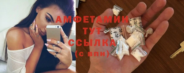 индика Зеленокумск