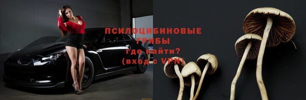индика Зеленокумск