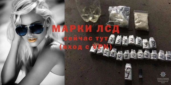 индика Зеленокумск