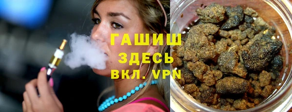 прущие грибы Инта