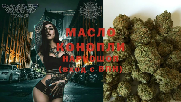 индика Зеленокумск