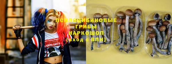 индика Зеленокумск
