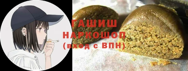 индика Зеленокумск