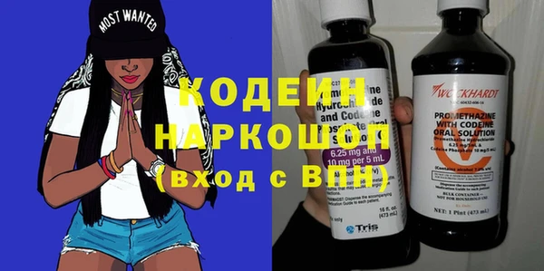 прущие грибы Инта