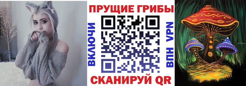 Псилоцибиновые грибы MAGIC MUSHROOMS  Купить  Родники 